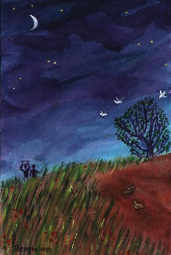 WEB_11ème di TO B_20240616